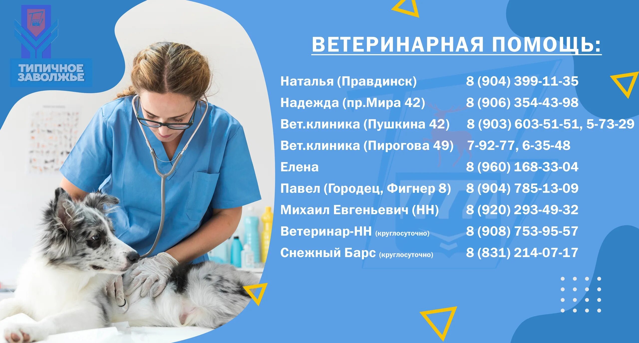 Бесплатная консультация ветеринара круглосуточно. Ветеринарная клиника Заволжье. Ветеринарная клиника Заволжье Пушкина. Номер ветеринара. Номер ветеринарной клиники.