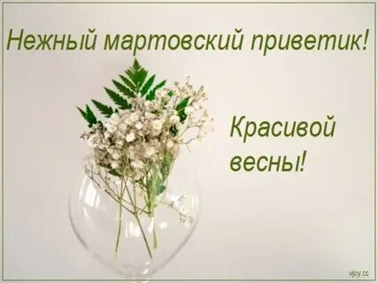 Мартовский приветик