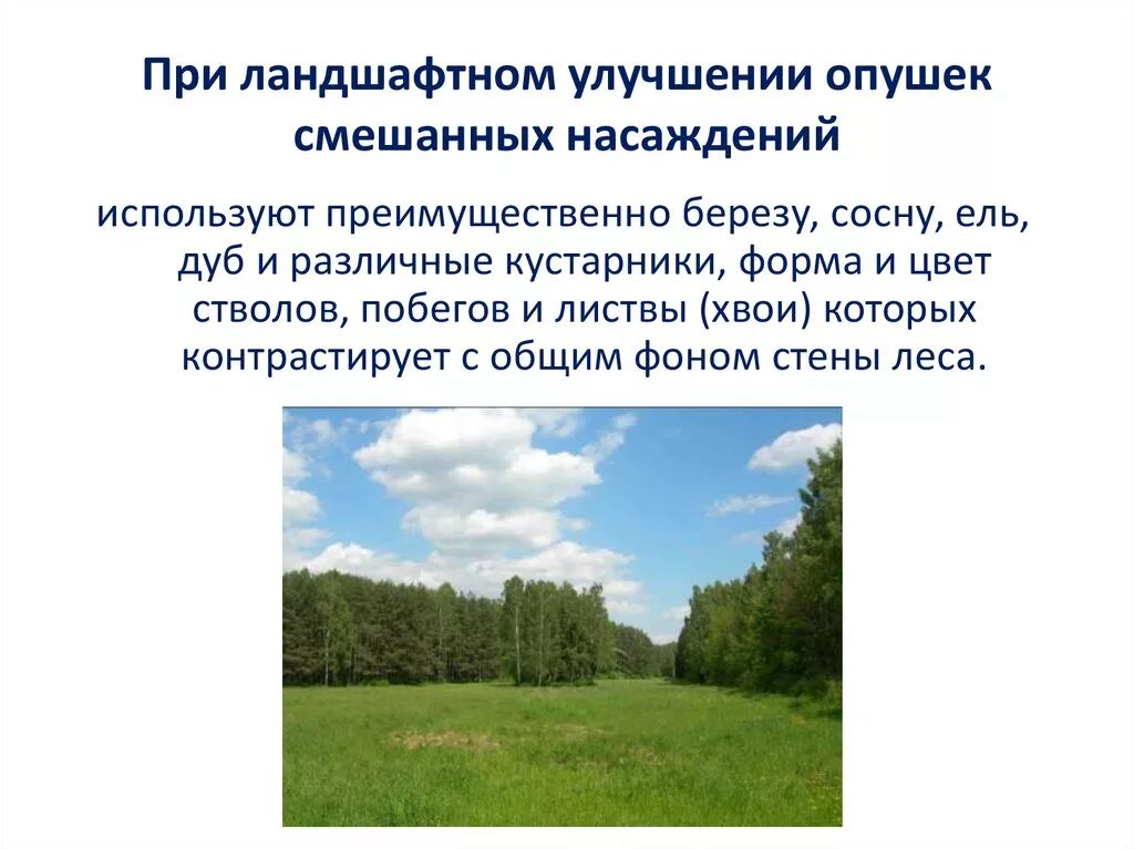 Прочее смешанный. Смешанные насаждения. Причины формирования смешанных древостоев. Смешанный древостой. Причины образования смешанных древостоев.