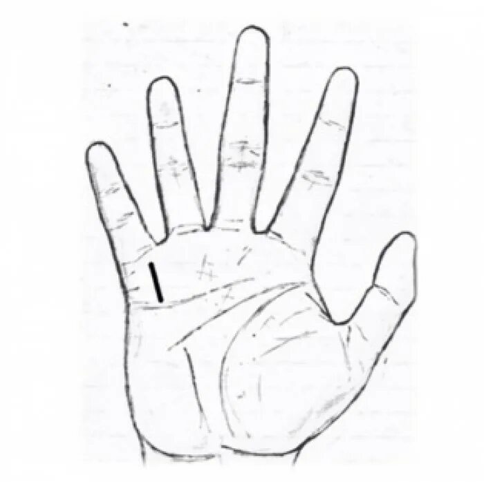 линия сатурна на руке. холм меркурия хиромантия. хиромантия холм сатурна. холм сатурна и юпитера на ладони. холм нептуна хиромантия.