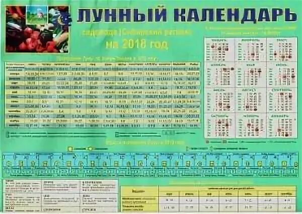 Лунный посевной календарь на 2020 год: огородника, садовода, таблица посева Огор