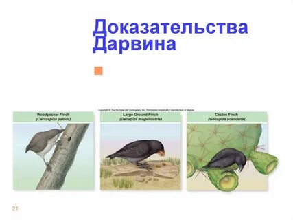 Учение доказало