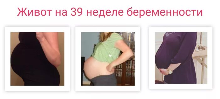 Живот на 39 неделе беременности. 38-39 Недель беременности. Опущенный живот на 39 неделе. Опускание живота 3 триместр. 37 неделя тяжело