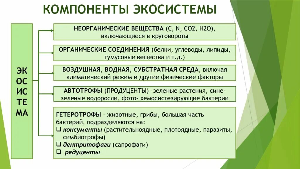 Таблица основных компонентов экосистемы. Компоненты экосистемы. Составляющие компоненты экосистемы. Компоненты экосистемы это в экологии.