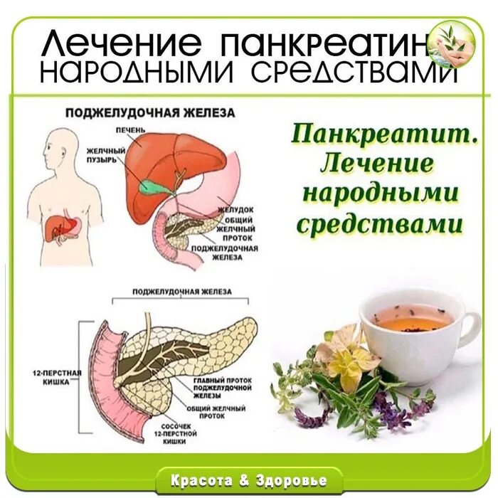 Железа женщина лечение панкреатита поджелудочной