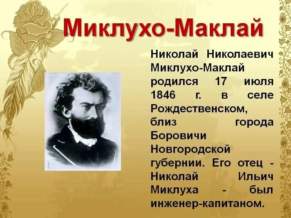 Миклуха маклая 4