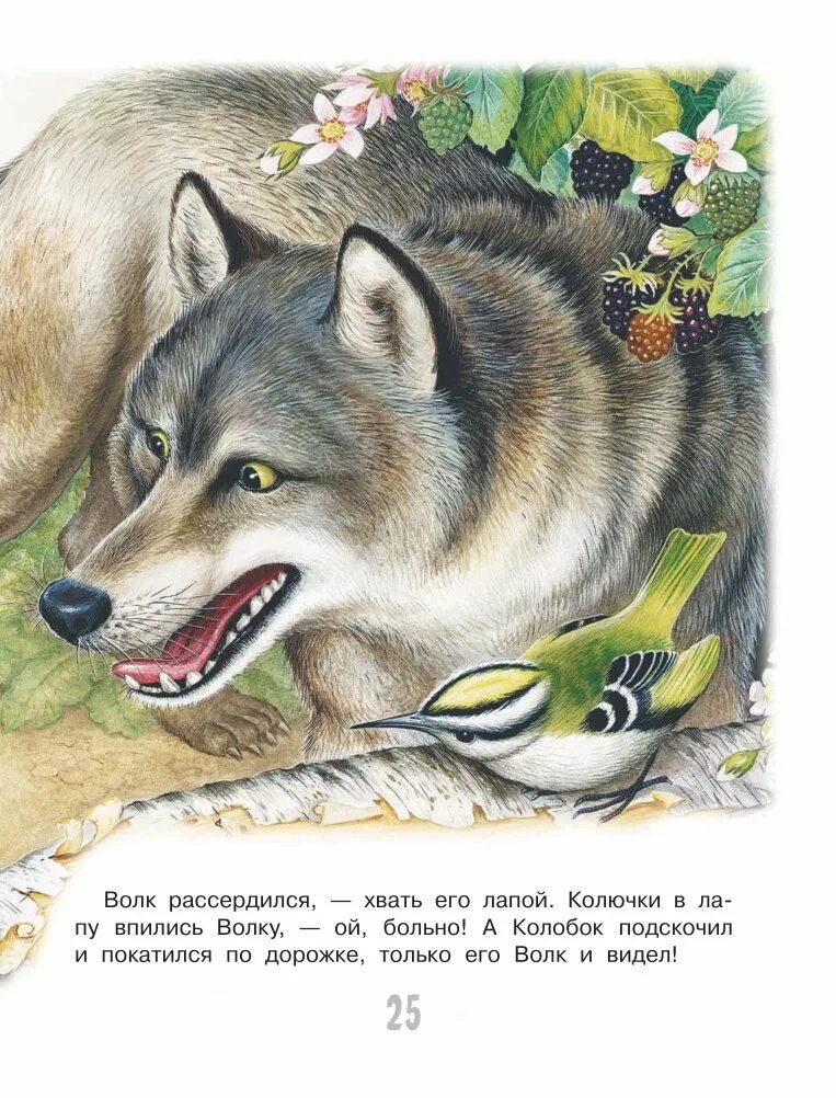 Сказка бианки колобок. Лесной колобок колючий бок бианки. бианки лесной колобок. виталий бианки лесной колобок. виталий бианки колобок колючий бок.