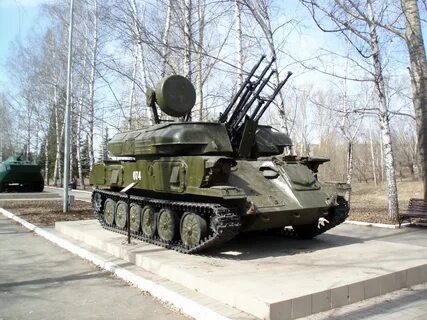 Зу шилка