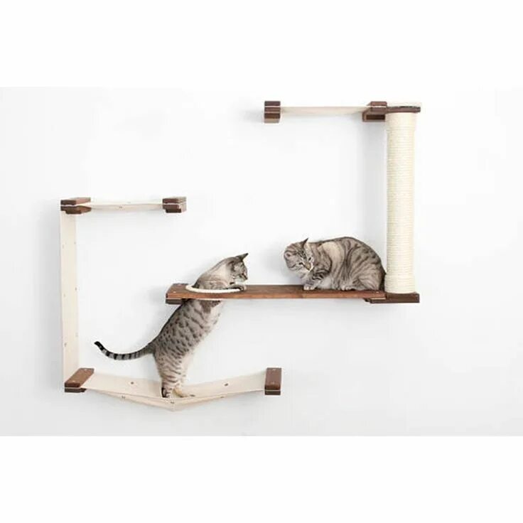 Кошачий домик лазалка. Настенный комплекс для кошек. Кошачий комплекс для мейн куна. Полки для кошек на стену. Кошачий домик лазалка.