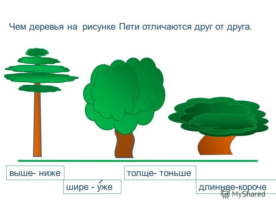 Сильнее толще длиннее. Сравнить предметы по высоте. Величина для дошкольников. Задание сравнение предметов по высоте. Сравниваем предмет по ширине и высоте.