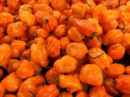 Pepper видео