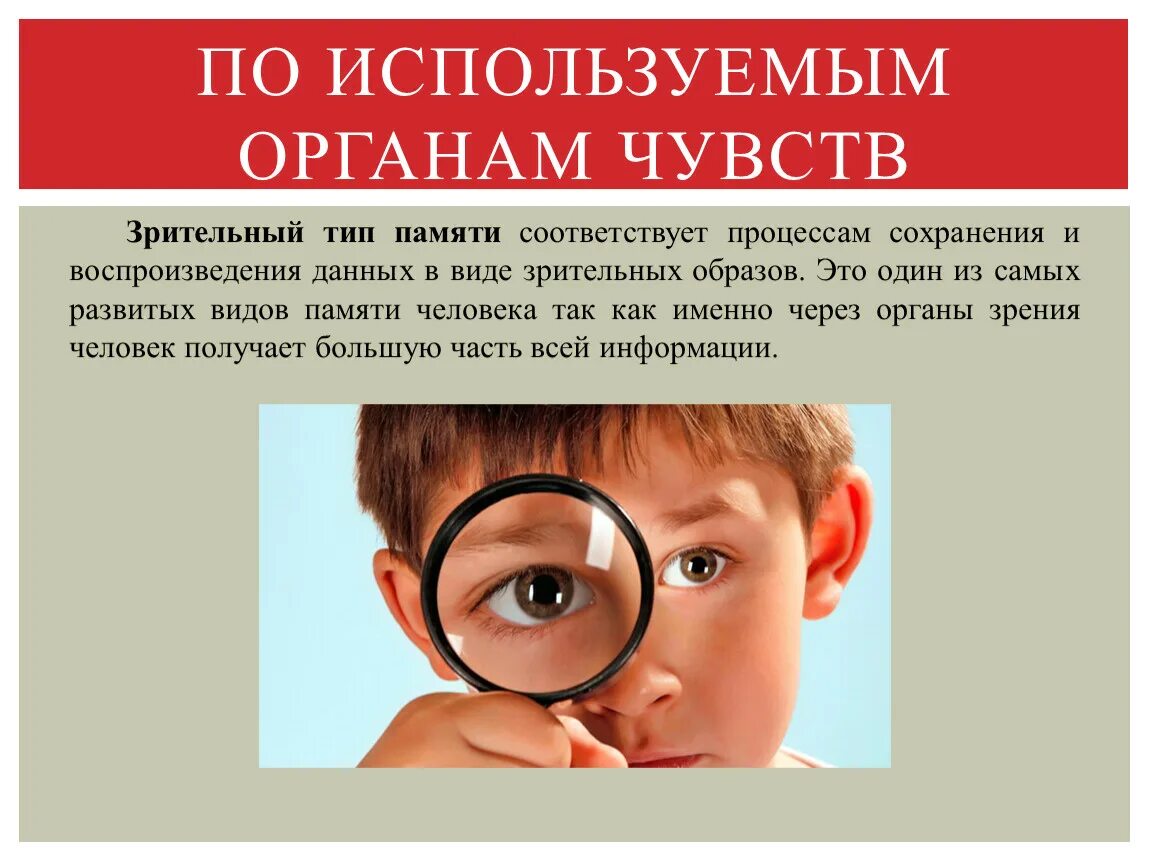 Что такое память ощущение. Виды памяти зрительная. органы чувств. память органов чувств. типы органов чувств.