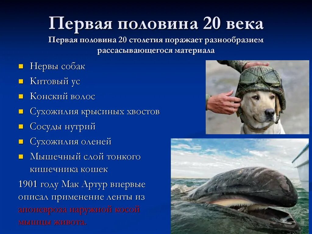 Поражает своим разнообразием. Поражает своим разнообразием