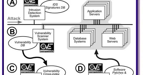 Cve 2024 43461