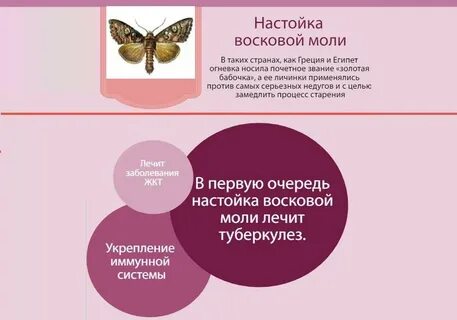 Моли инструкция