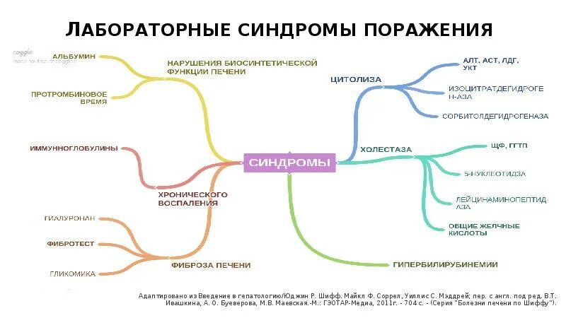 Лабораторные синдромы поражения печени. Цитолитический синдром печени патогенез. Цитолитический синдром печени показатели. Лабораторные синдромы при патологии печени. Цитолиз холестаз