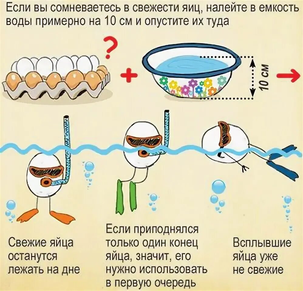 Если куриное яйцо всплывает
