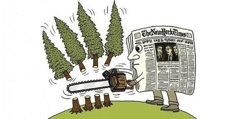 С 1 дерева собрали