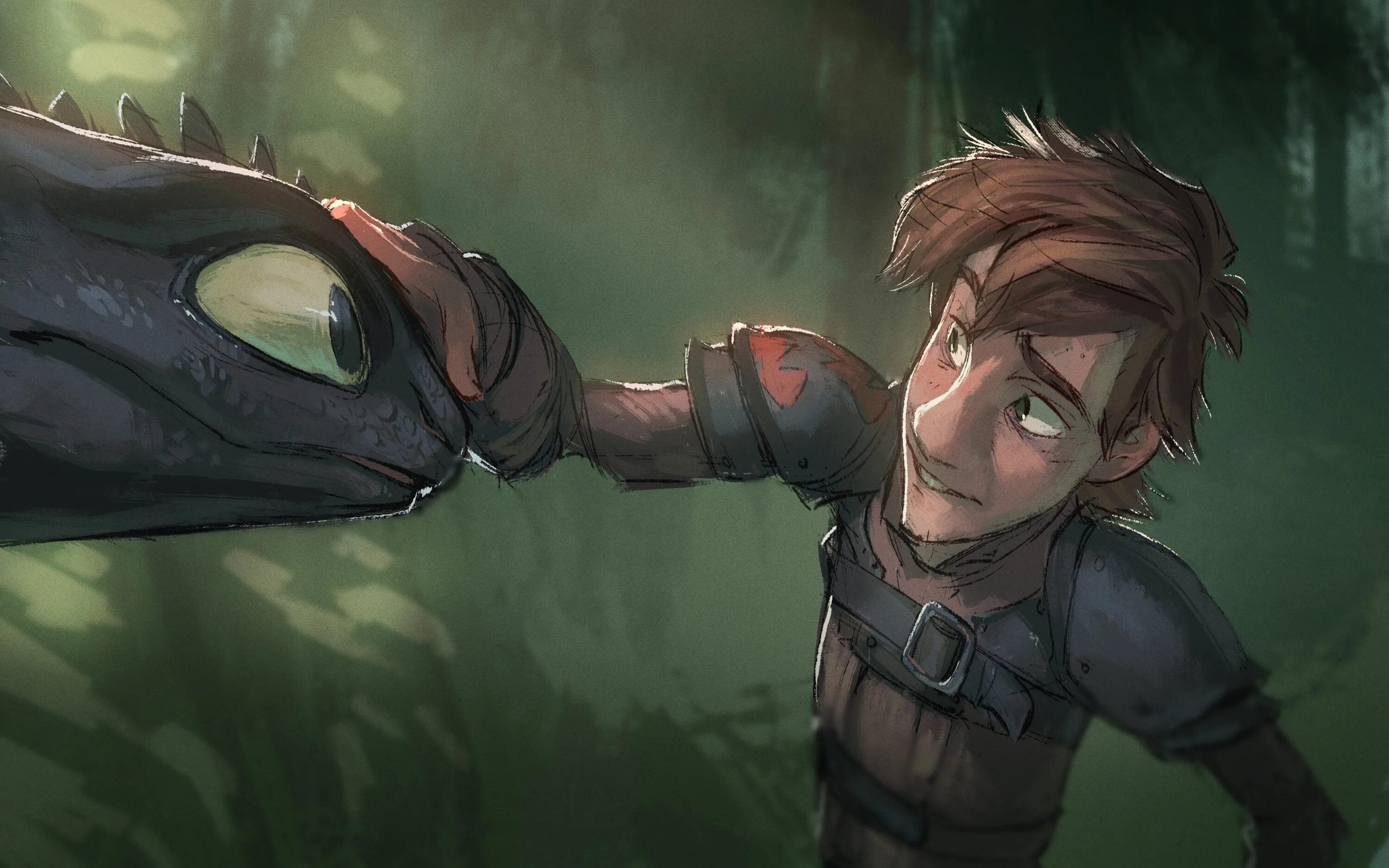 Как приручить дракона иккинг и беззубик. Ночная фурия беззубик и иккинг. Как приручить дракона арт. Httyd беззубик. Как приручить дракона иккинг и беззубик.