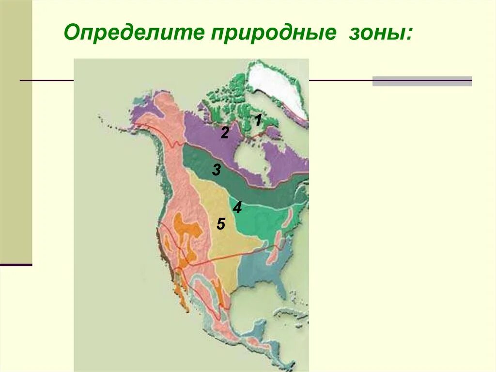 Центральная америка природные зоны. Природные зоны Северной Америки 7 класс географическое положение. Карта природных зон Северной Америки. Природные зоны Северной Америки контурная карта. Карта природных зон Америки.