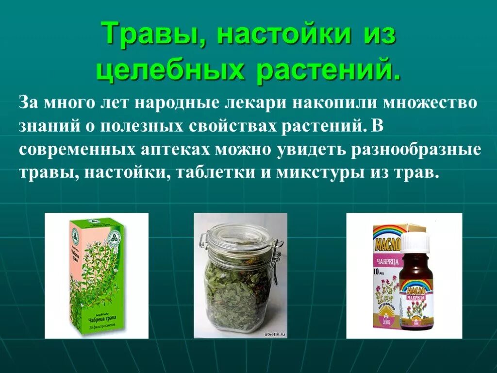 Целебная трава 6. Лечебные растения. Растения лекари проект. Лекарственные растения в современной медицине. Лекарственные растения в современном мире..