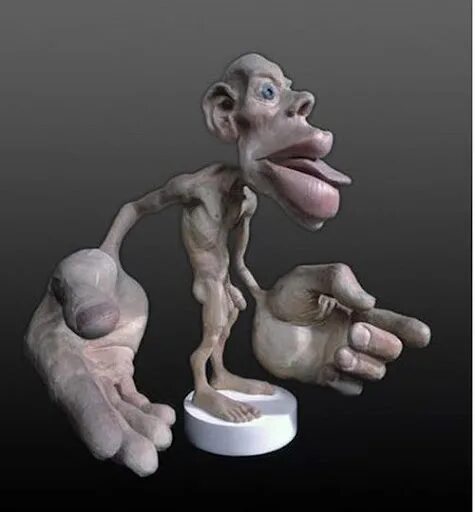 Homunculus