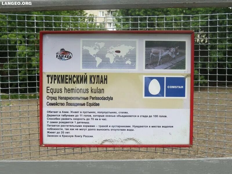 Сколько зоопарков в ростове на дону. Зоопарк ростов-на-дону расписание. ростовский зоопарк режим работы. информационные стенды в зоопарке. ростовский-на-дону зоопарк схема.