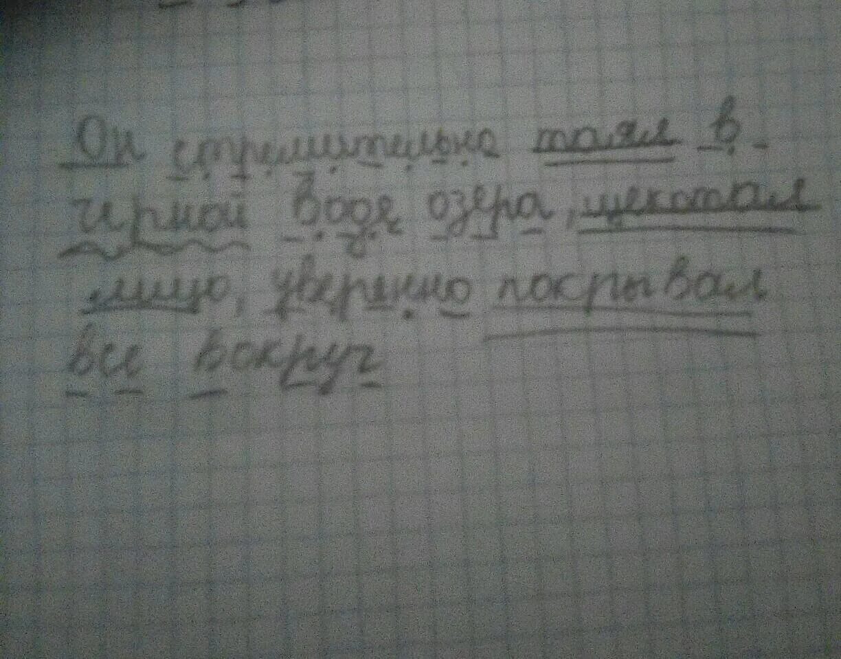 Все взморье утопает в свежем снегу синтаксический. Стремительно синтаксический разбор. Он таял в черной воде озера синтаксический разбор. Синтаксический разбор слова тает.