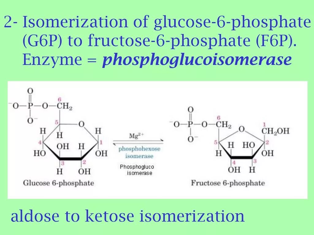 Glucose 6 phosphate. Глюкозамин 6 фосфат. B D фруктоза 6 фосфат. Глюкозамин 6 фосфат в глюкозамин 1 фосфат.