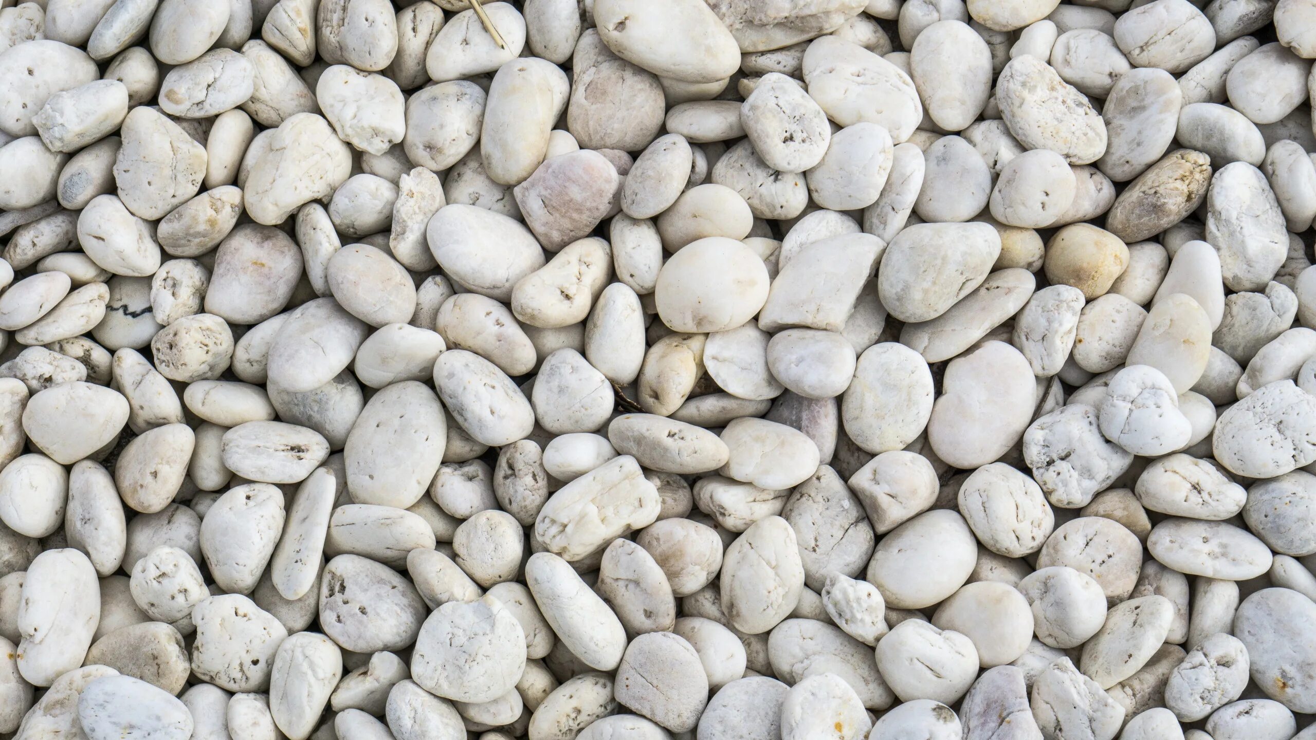 Small stones. Камни галька белая. Галька белая «Эвис», 250 г. Галька текстура бесшовная. Фактура гальки.