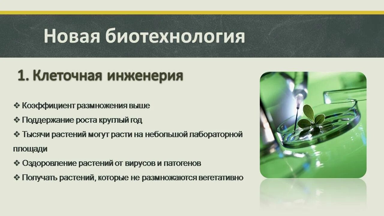 История биотехнологии. Современные достижения биотехнологии. Современные направления биотехнологии. Презентация на тему биотехнология. Достижения биотехнологии.