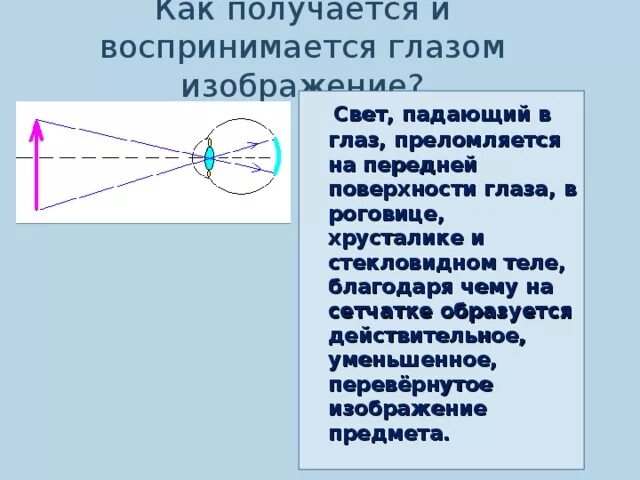 Изображение на сетчатке. Изображение предмета на сетчатке глаза. Перевернутое изображение на сетчатке. Построение изображения в глазу.