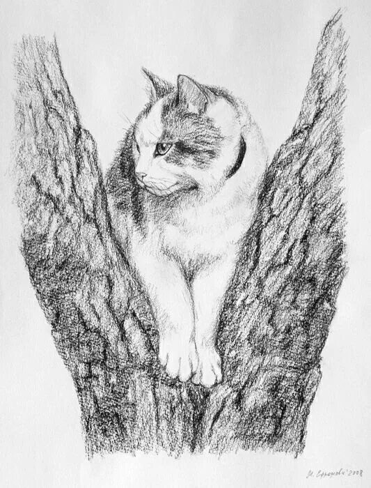 Что значит рисунок в графике Drawing Exercises That Will Help You Hone Your Craft Types of drawing styles, Dr