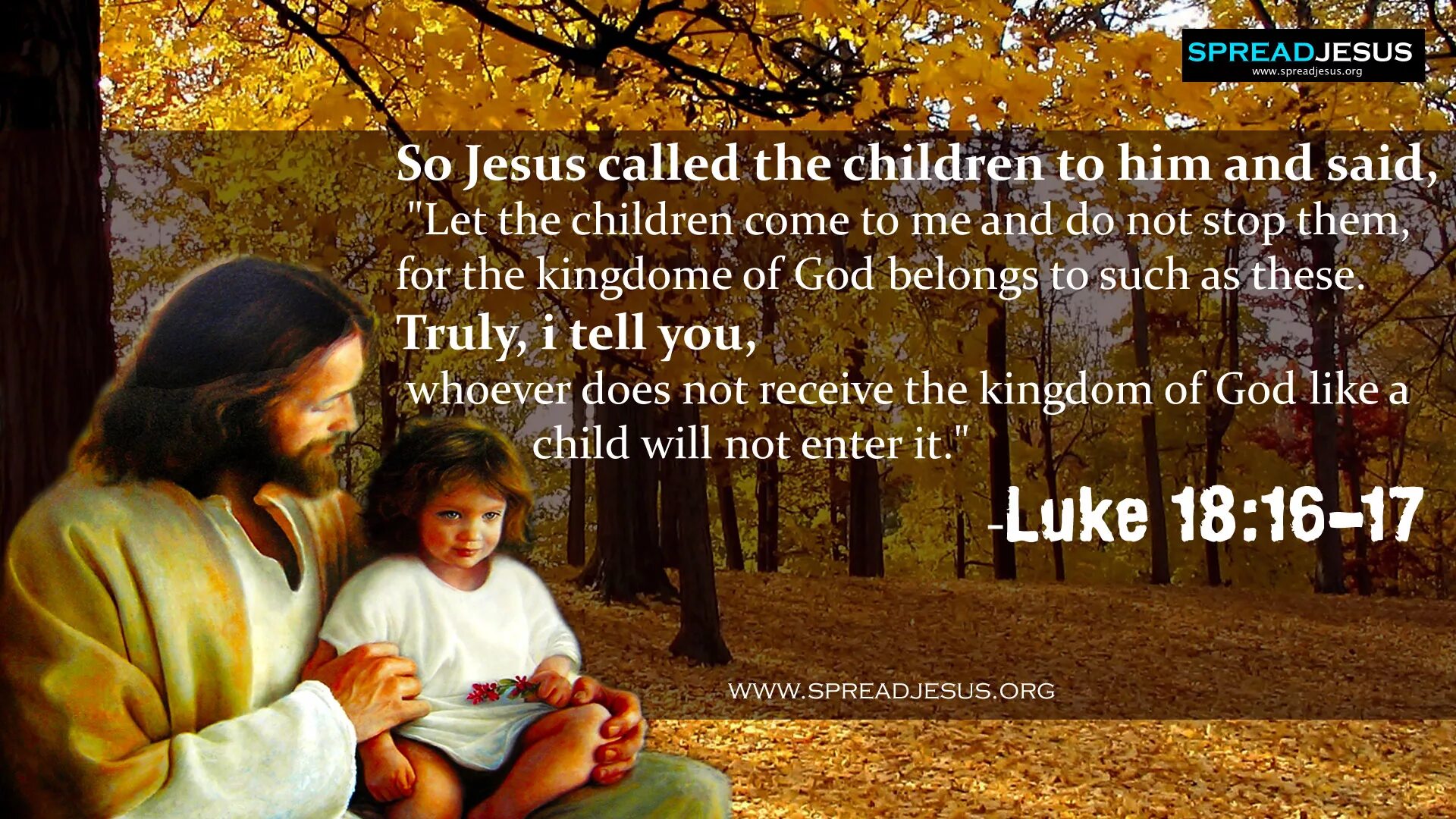 He he was a child. Jesus to a child Promo Single. Receive Jesus. Jesus to a child Remix. Jesus to a child перевод.