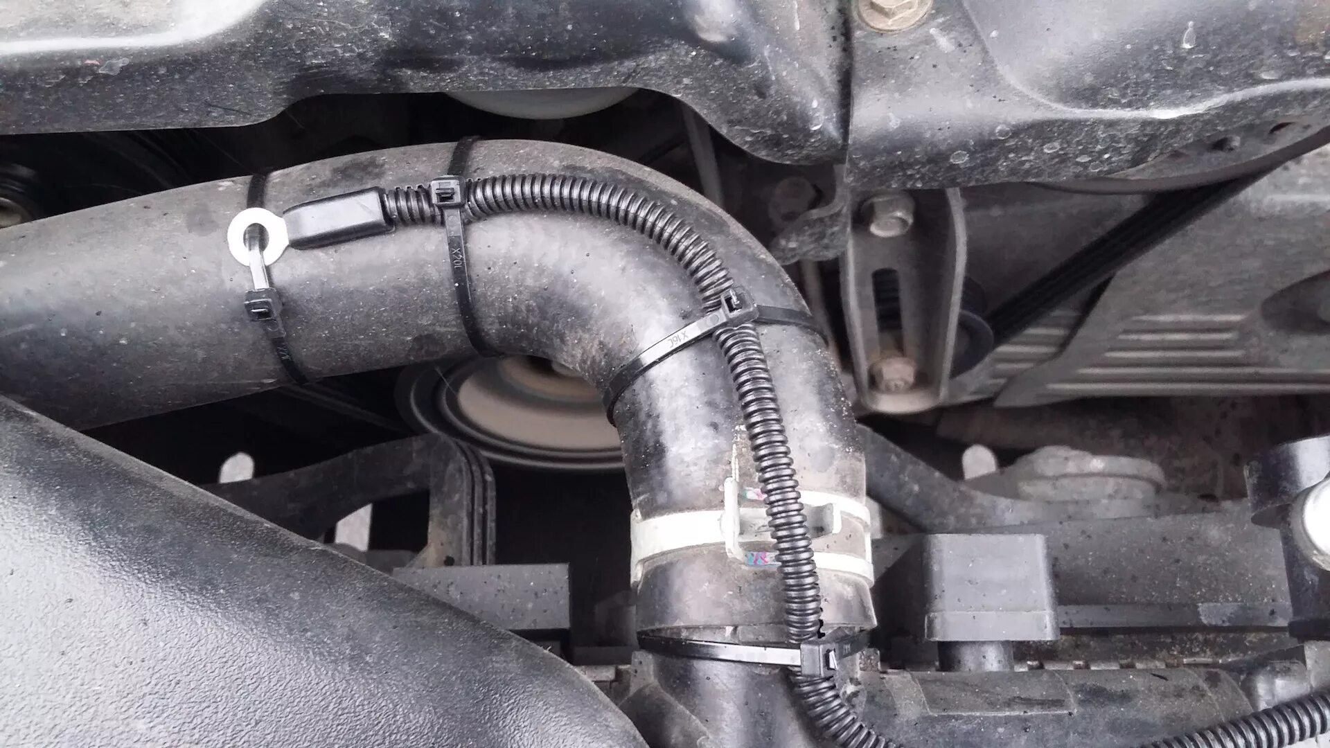 Ремонт датчика температуры двигателя Starline A93 - Peugeot 408, 1,6 л, 2013 год