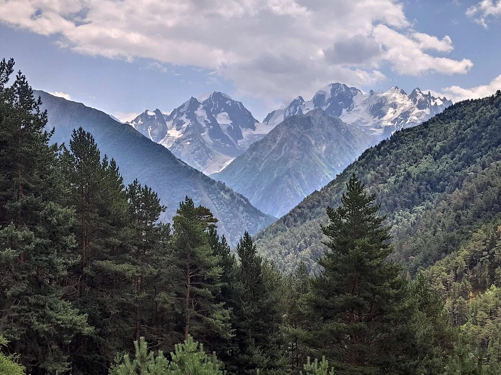 Лесные северного кавказа. Лес Северного Кавказа. Гирканские леса Кавказа. Лес в горах Кавказа. Джелесу Кавказ.