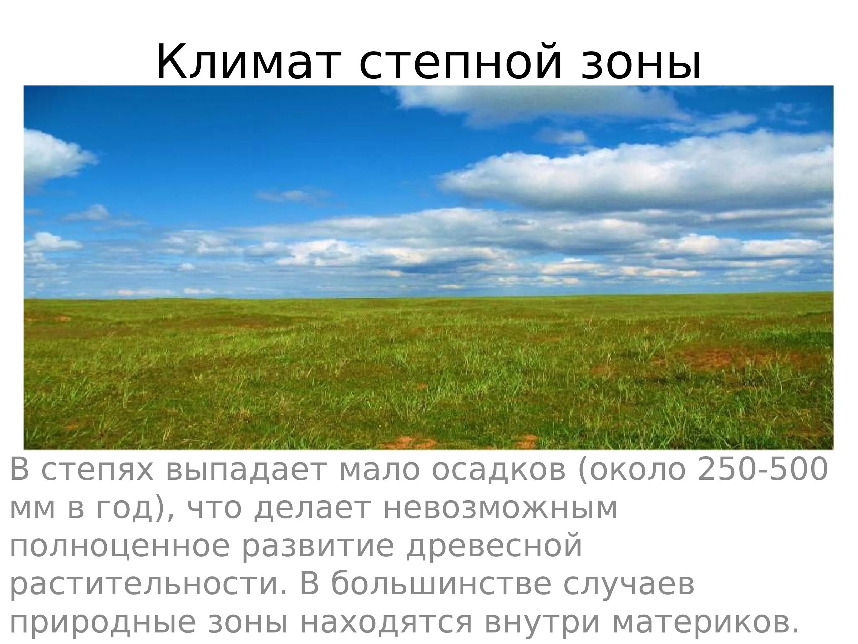 Природная зона степь 6 класс. Почва лесостепи и степи в Евразии. Природные зоны России степи и лесостепи. Зоны лесостепей и степей климат. Климат лесостепной и Степной зоны.