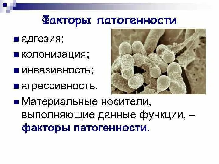Физический патогенный фактор. Физический патогенный фактор. Биологические опасные и вредные производственные факторы. Перечислить физические факторы влияющие на микроорганизмы. Физический патогенный фактор.