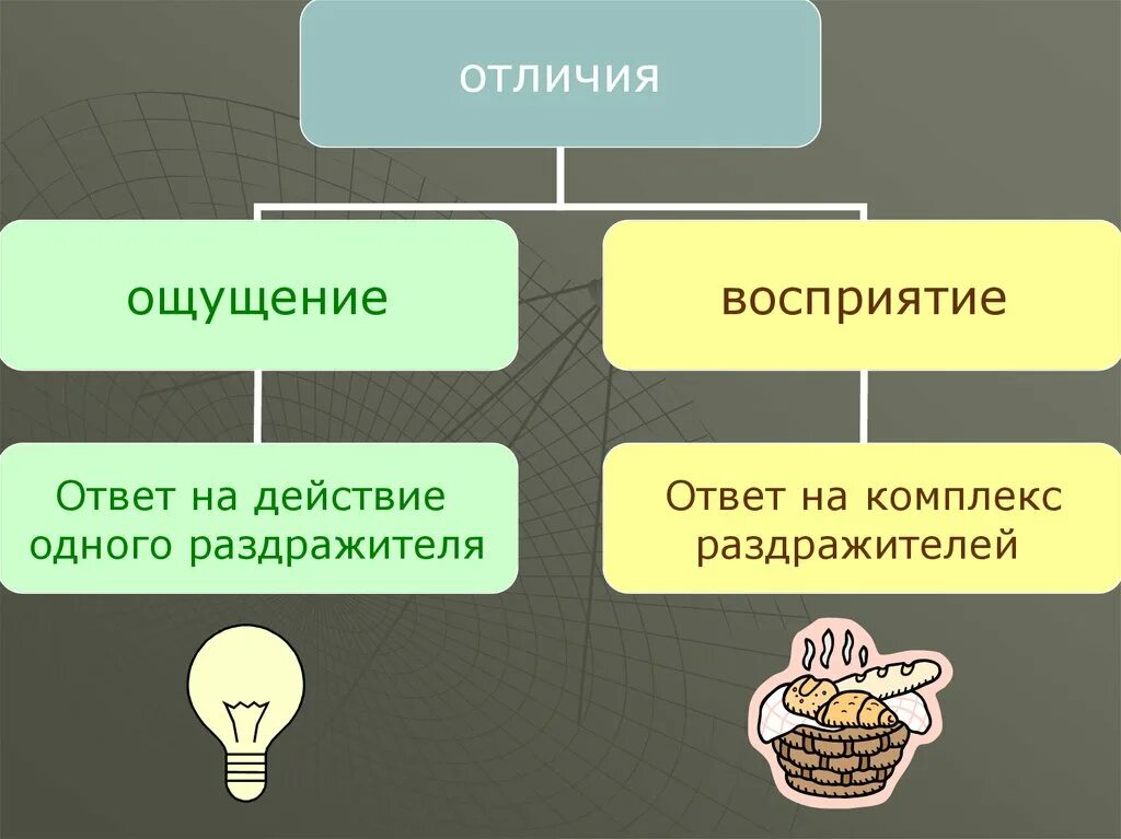 Ощущение и восприятие. Ощущение и восприятие в психологии. Ощущение и восприятие отличие. Чувства, ощущения, восприятие – это.