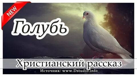 Рассказы мсц