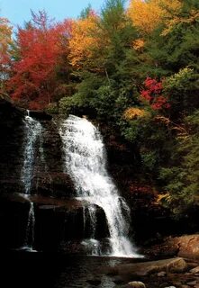 Autumn falls