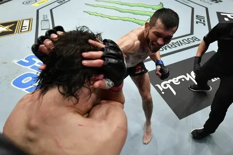 Ufc январь 2024