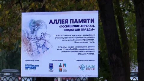 Дети ангелы донбасс