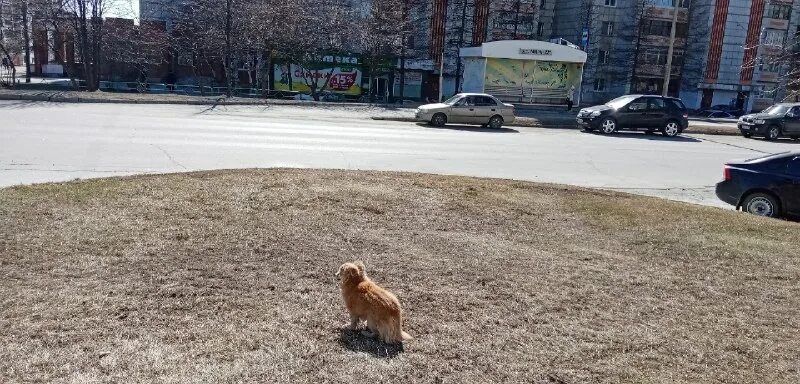 подслушано в лесном и нижней туре ок