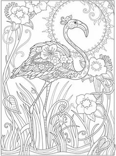 Раскраска colouring book
