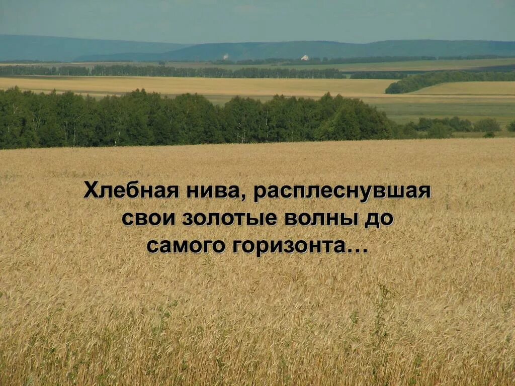 Объяснение слов жито. Нива значение. Нивы Бесплодные. Нива это в литературе.