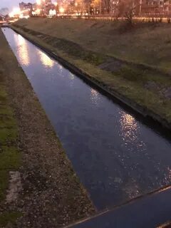 Река волковка петербург