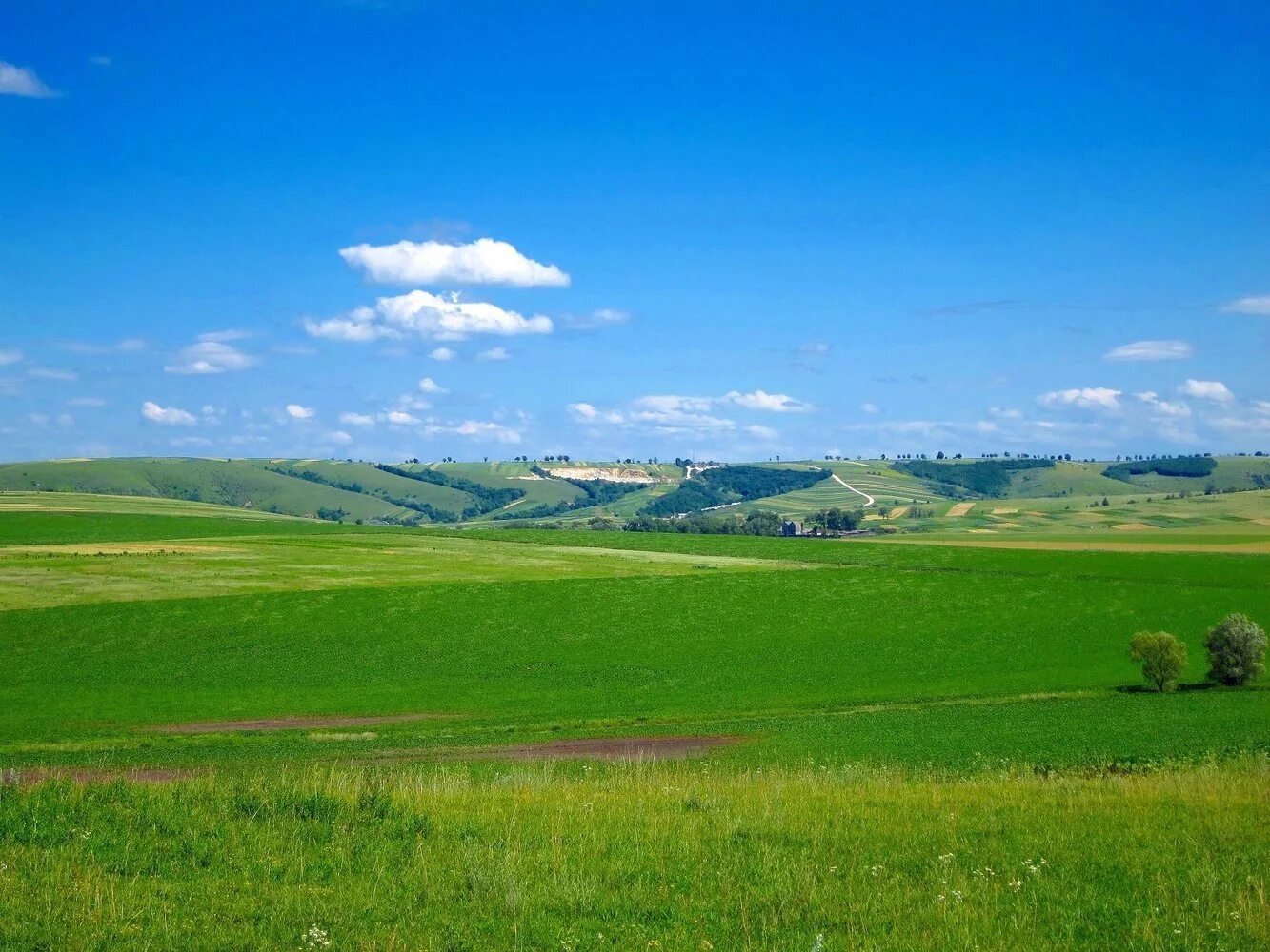 Село просторе. Село Гамалеевка. Село Гамалеевка Сорочинский район. Просторы села Гамалеевка. Львовская область природа.