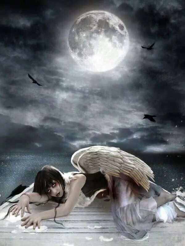 Fallen moon