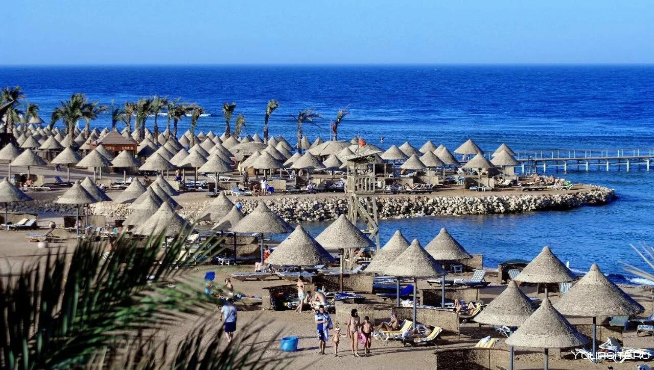 Radisson blu шарм эль шейх. Рэдиссон шарм-эль-шейх. шарм-эль-шейх parrotel beach. отель рэдиссон шарм эль шейх египет. parrotel beach resort шарм-эль-шейх.